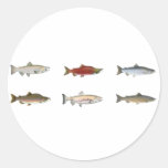 Wild Salmon Sticker