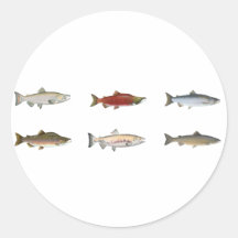 Wild Salmon Sticker