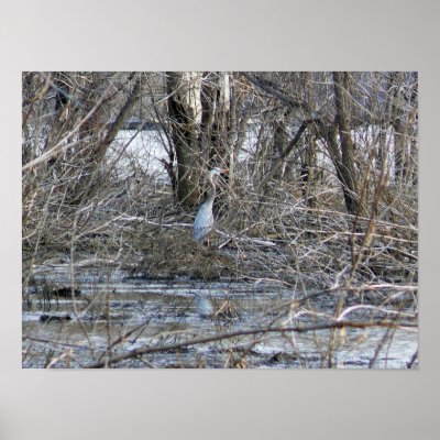 Wild Sandcrane Poster by Shadowchaser