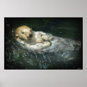 Wild Sea Otter Drifting in Ocean Water Art Poster posters