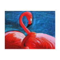 Wild   Series 13 Postcard