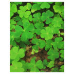 Wild Shamrocks flyers
