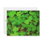 Wild Shamrocks invitations