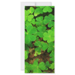 Wild Shamrocks rack cards