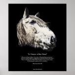 WILD STALLION & Poem, Horse Lover Fine-Art Poster posters