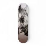 Wild Stallion Skate Decks