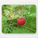 Wild Strawberry 1 mousepads