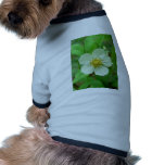Wild Strawberry Flower pet clothing