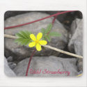 Wild Strawberry mousepads