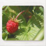 Wild Strawberry Mouse Pads