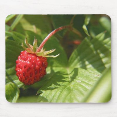 Wild Strawberry Mouse Pads by KLaima