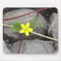 Wild Strawberry mousepads