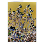 WILD TREES GREETING CARD