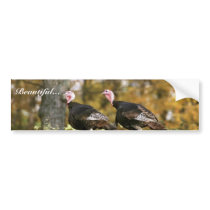 Wild turkey bumper sticker