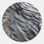 Wild Turkey Feathers Sticker