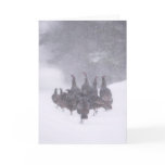 Wild Turkey Greeting Card