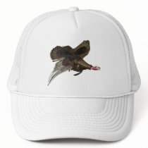 Wild Turkey Hunting