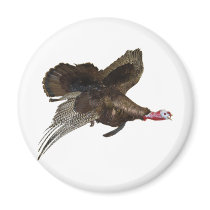 Wild Turkey Hunting