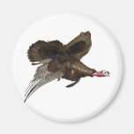 Wild Turkey Hunting Magnet