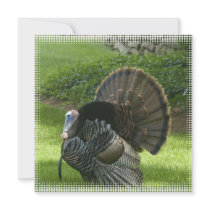 Wild Turkey Invitation