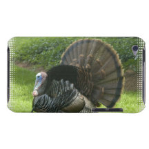 Wild Turkey iTouch Case Barely There iPod Covers