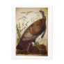 Wild Turkey, John James Audubon Post Card