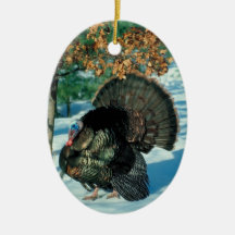 Wild Turkey Photo Holiday Decorations Christmas Tree Ornaments