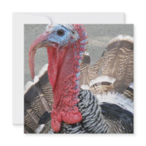 Wild Turkey Picture Invitations