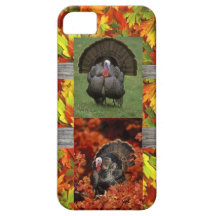 wild turkeys i phone 5 case iPhone 5 cases