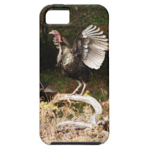 Wild Turkeys iPhone 5 Covers