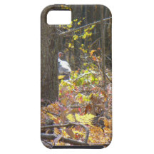 Wild Turky Woodlands