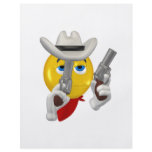 Wild West flyers