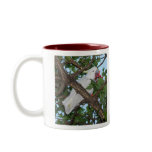 Wild White Cockatoo Parrot mugs