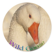 Wild White Goose Bird Wildlife Sticker