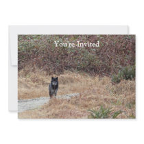 Wild Wolf Photo Custom Announcements