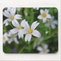 Wild woodland flowers mousepads