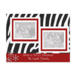 Wild ZEBRA Christmas
