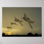 WildCat's Print