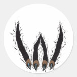 Wildcats Sports Team Claw Ripping Through - Al Rio Sticker