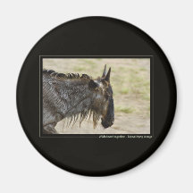 Wildebeest migration Kenya wildlife safari magnets