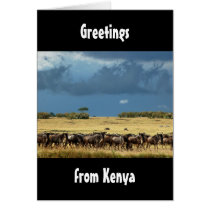 Wildebeest migration Masai Mara Kenya card