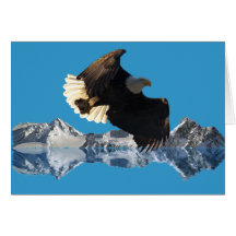 WILDERNESS EAGLE Collection Greeting Cards