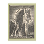 Wilderness Embrace postcards