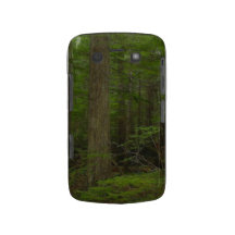 Wilderness Forest Nature Scenery Blackberry Case