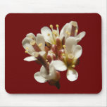 Wildflower 36 ~ mousepad