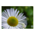 Wildflower 3 ~ ATC business cards