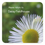 Wildflower 3 Bookplate ~ sticker