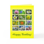 Wildflower Birthday cards