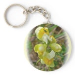 Wildflower Butter 'n Eggs Key Chains