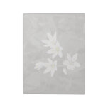 Wildflower Cluster Macro Photo BW/Colour Note pape Note Pads